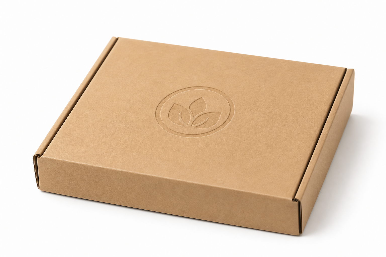 Custom Kraft Mailer Boxes with Logo: Film, Print, MOQ, and Carton Packing