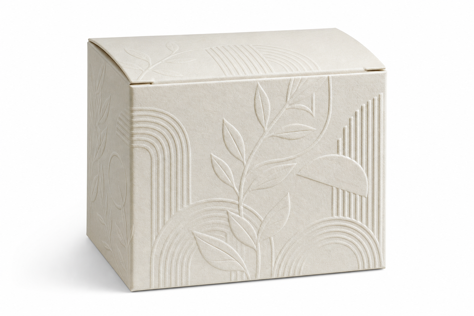 Custom Embossed Paper Cartons for Premium Branding