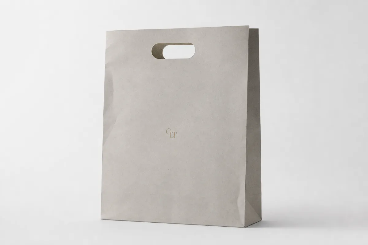 Printed Shopping Bag Branding: Film, Print, MOQ, and Carton