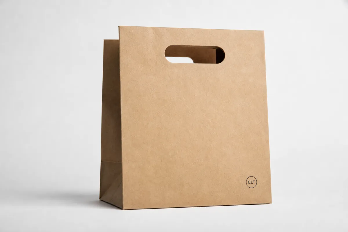 Kraft Handle Bags with Logo: Film, Print, MOQ, and Carton