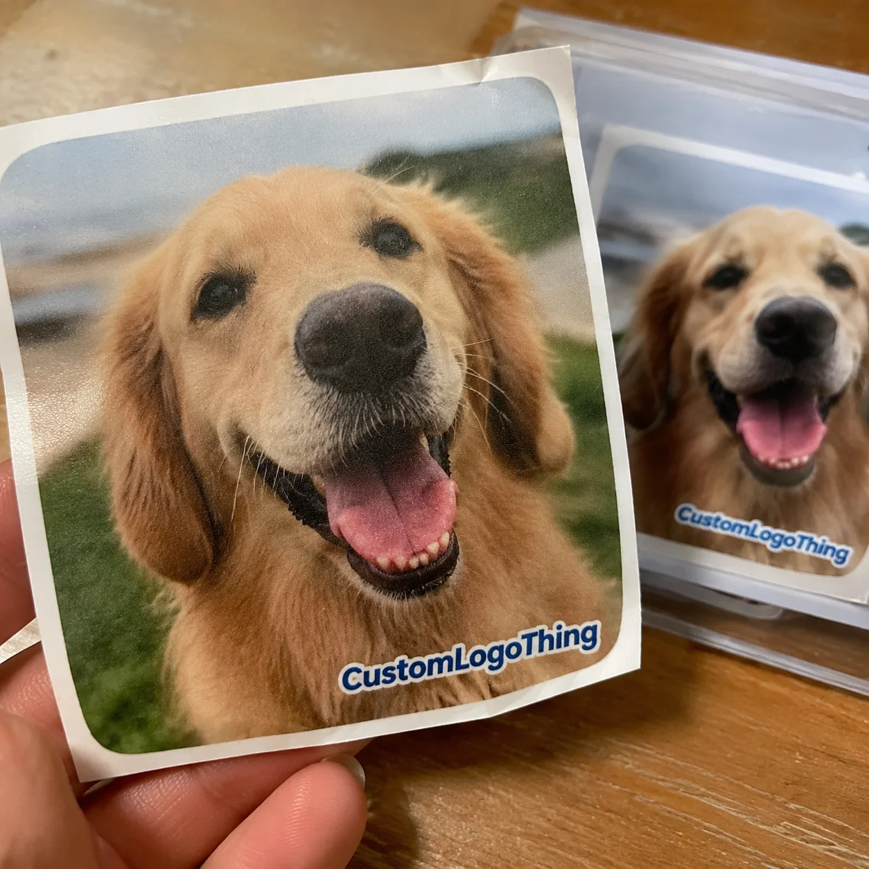 Order Custom Stickers From Photos That Print Sharp