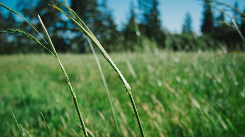 Corrugated Boxes Wholesale from Trusted Custom Plants