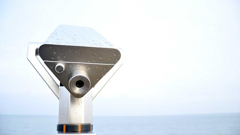 Custom Poly Bags for Small Business: Smart Packaging Choices