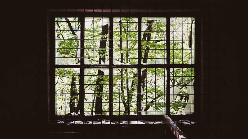 Compostable Packaging Design Tips for Lasting Impact