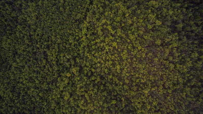 Mastering How to Design Eco Labels for Impactful Packaging